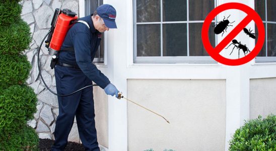 İznik Hamam Böceği İlaçlama böcek ilaçlama ve haşere kontrolü — ilaclama-tr.com